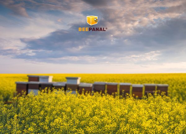 Principales tareas en primavera